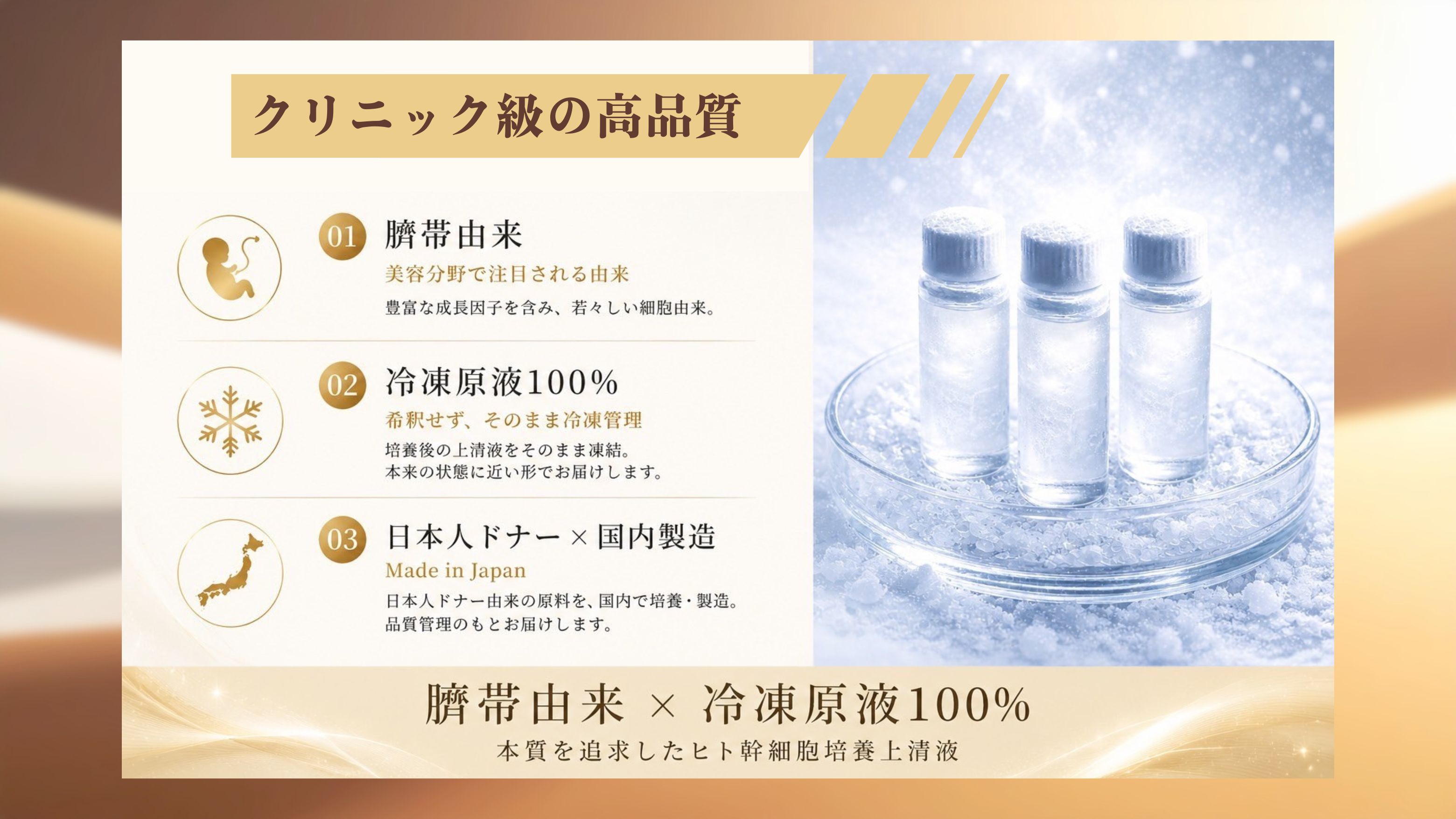 ダウンロード